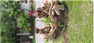 Van Mahotsav at Whitehall School