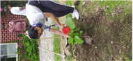 Van Mahotsav at Whitehall School
