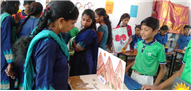 Science expo